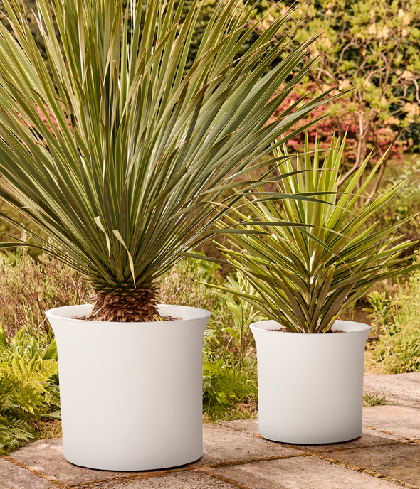 june tulip 47cm blanco lino